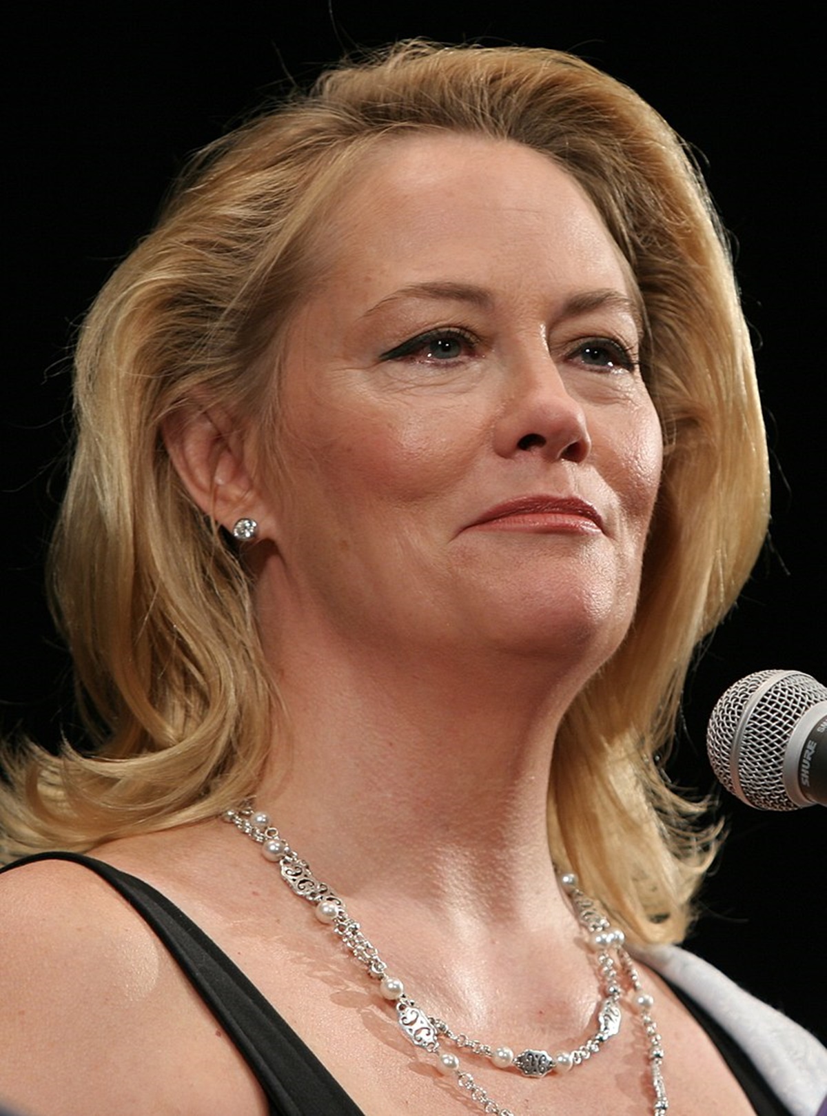 Cybill Shepherd a 90-es évek legszebb színésznője volt - Ma már rá sem ismernél