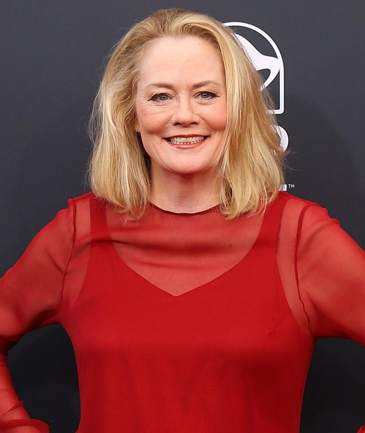 Cybill Shepherd a 90-es évek legszebb színésznője volt - Ma már rá sem ismernél