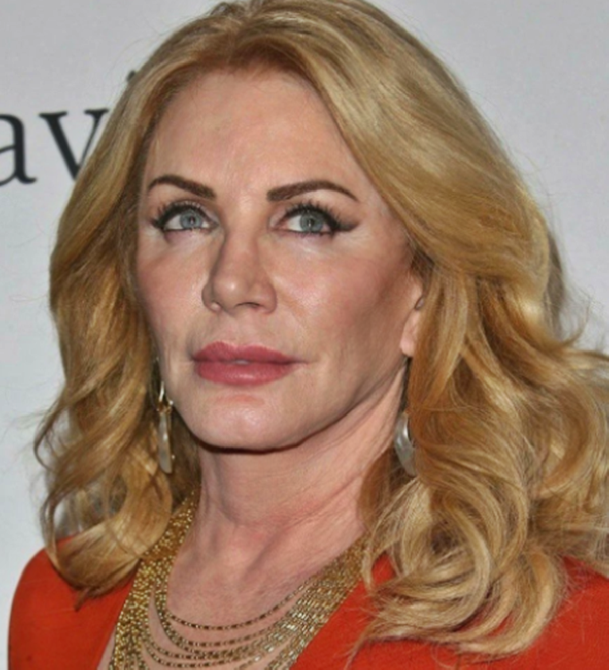 A 90-es évek egyik legszebb színésznője volt Shannon Tweed - Az egykori szexszimbólum mára felismerhetetlen