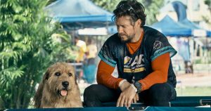 Előzetest kapott Mark Wahlberg szívet melengető, új kutyás filmje - Arthur the King