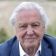 Így nézett ki fiatalon a világ leghíresebb természetfilmese, David Attenborough (Fotók!)