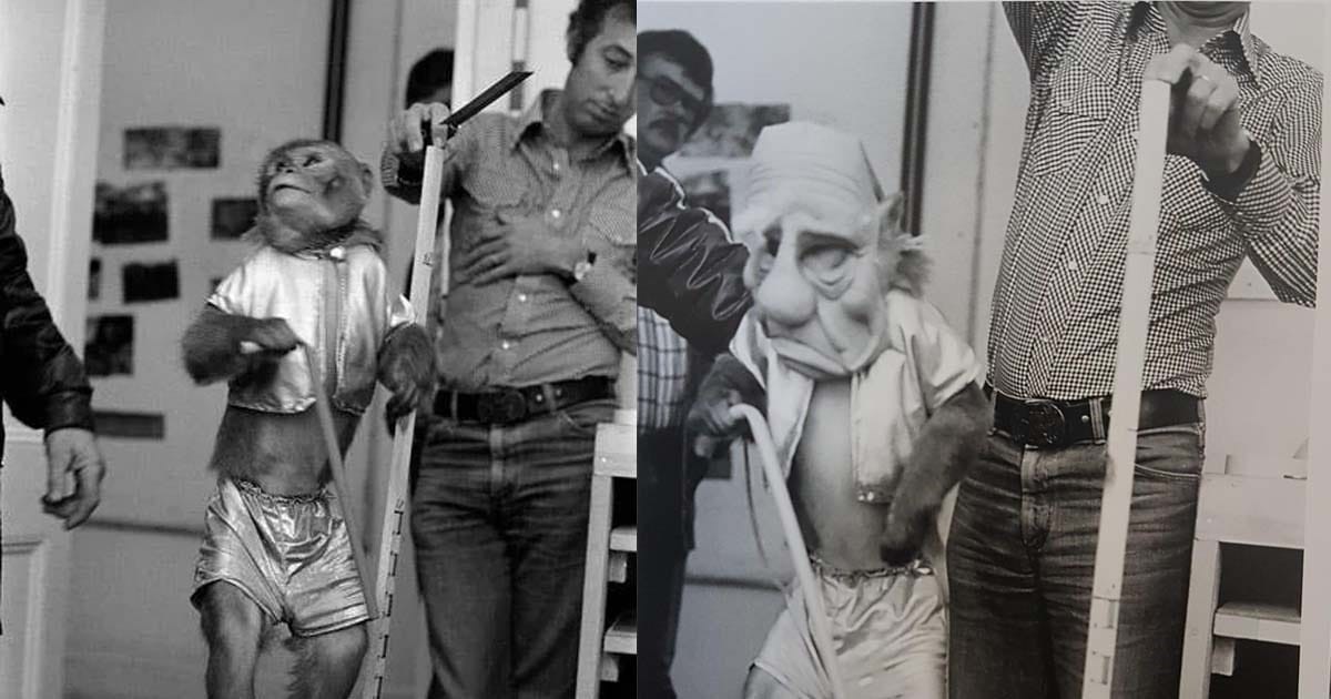 Te tudtad? Yoda mestert majdnem egy majom játszotta el! Végül így keltették életre az ikonikus karaktert