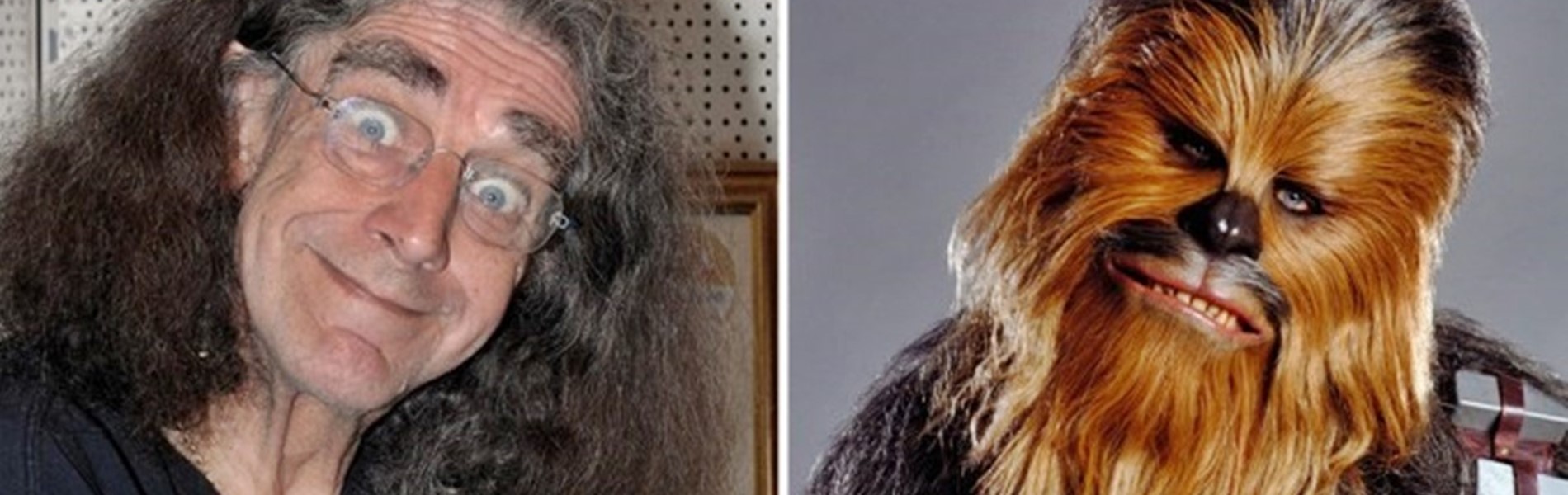 Egy véletlen ihlette Csubakkát – de melyik állat volt a kulcs?